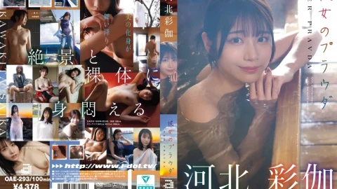 河北彩伽（河北彩花）